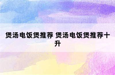 煲汤电饭煲推荐 煲汤电饭煲推荐十升